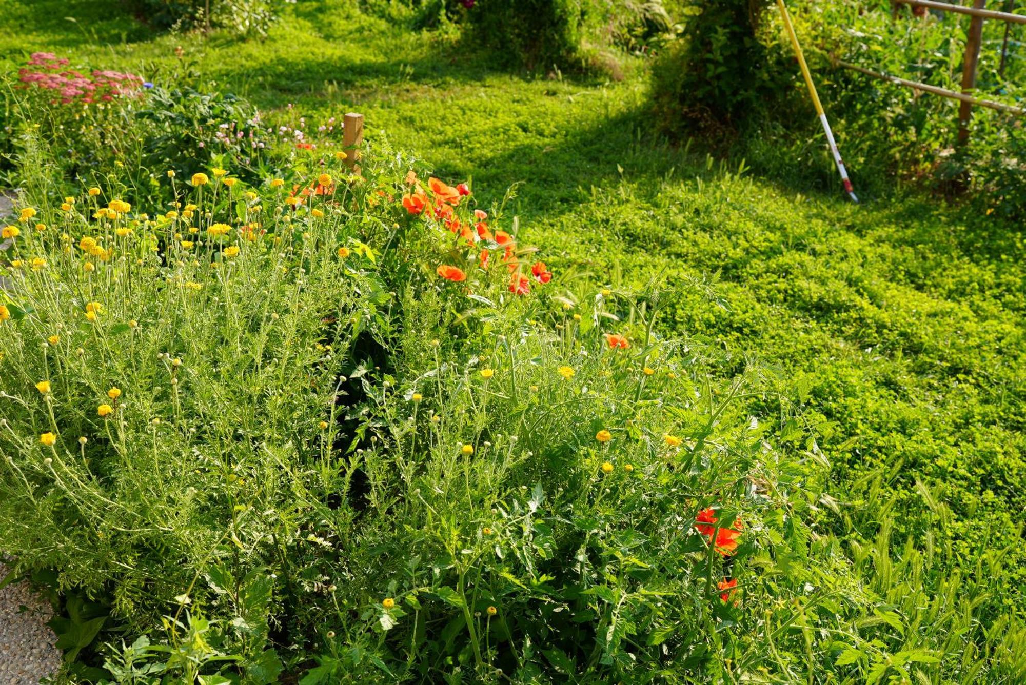 Les Jardins De Felicie Villa Poses Kültér fotó