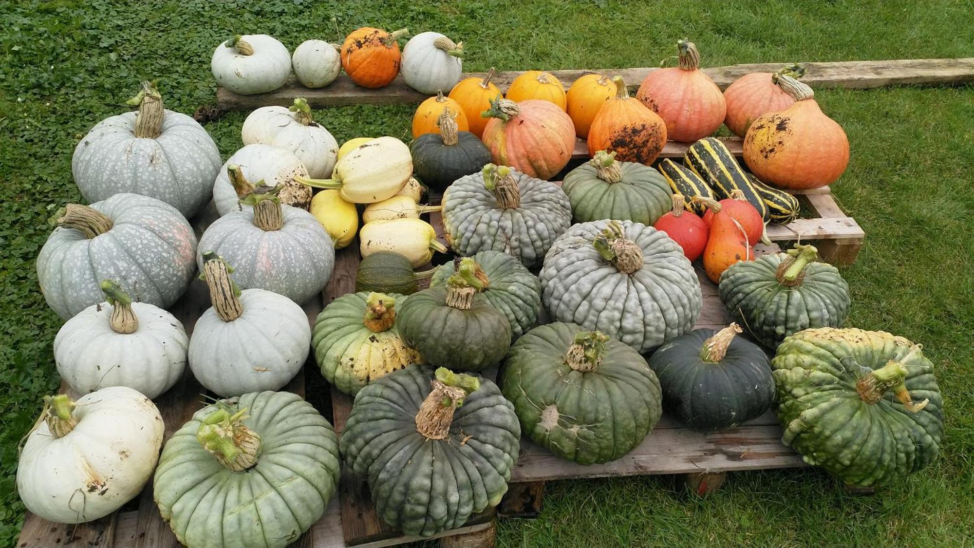 Les Jardins De Felicie Villa Poses Kültér fotó