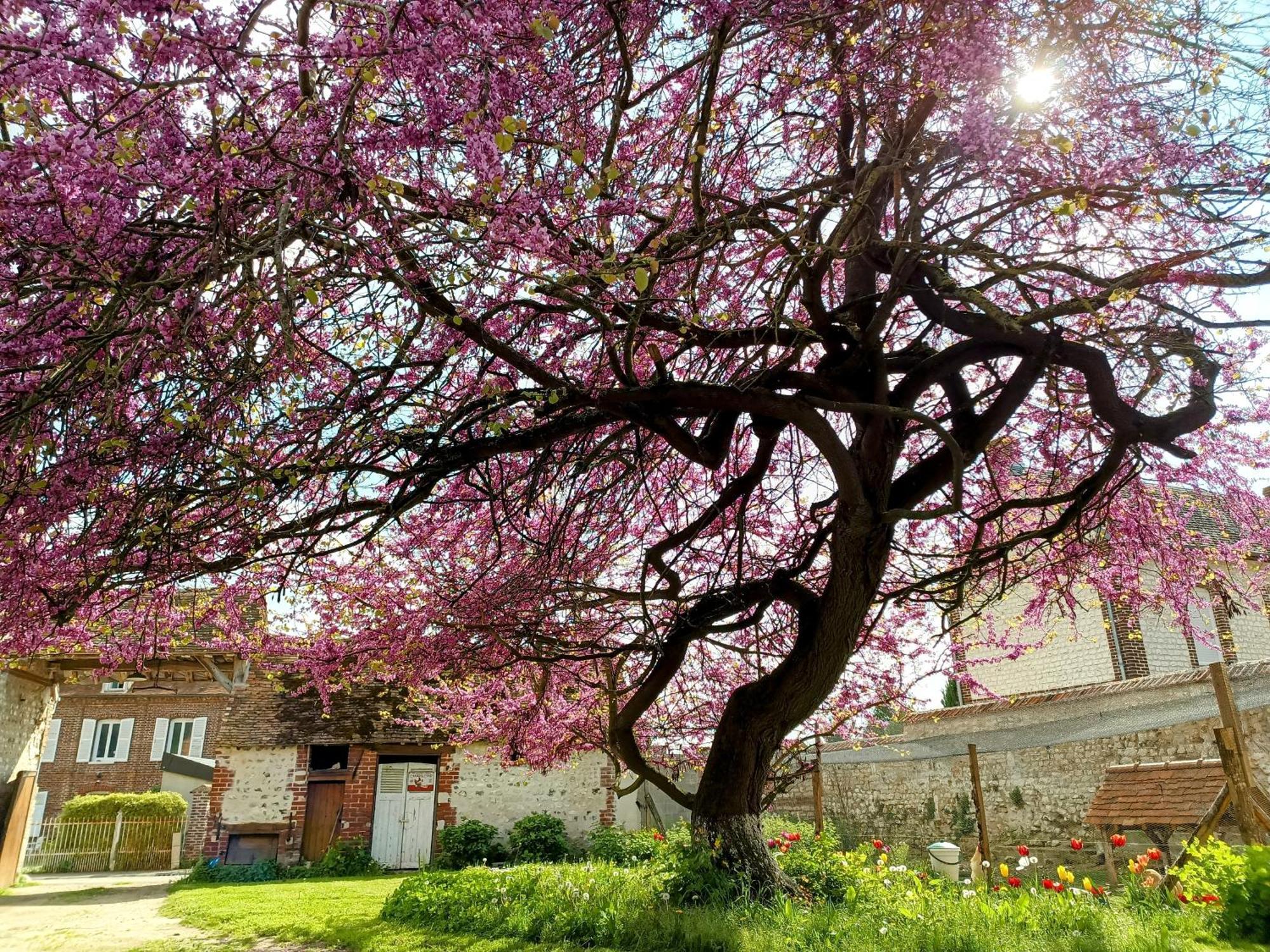 Les Jardins De Felicie Villa Poses Kültér fotó