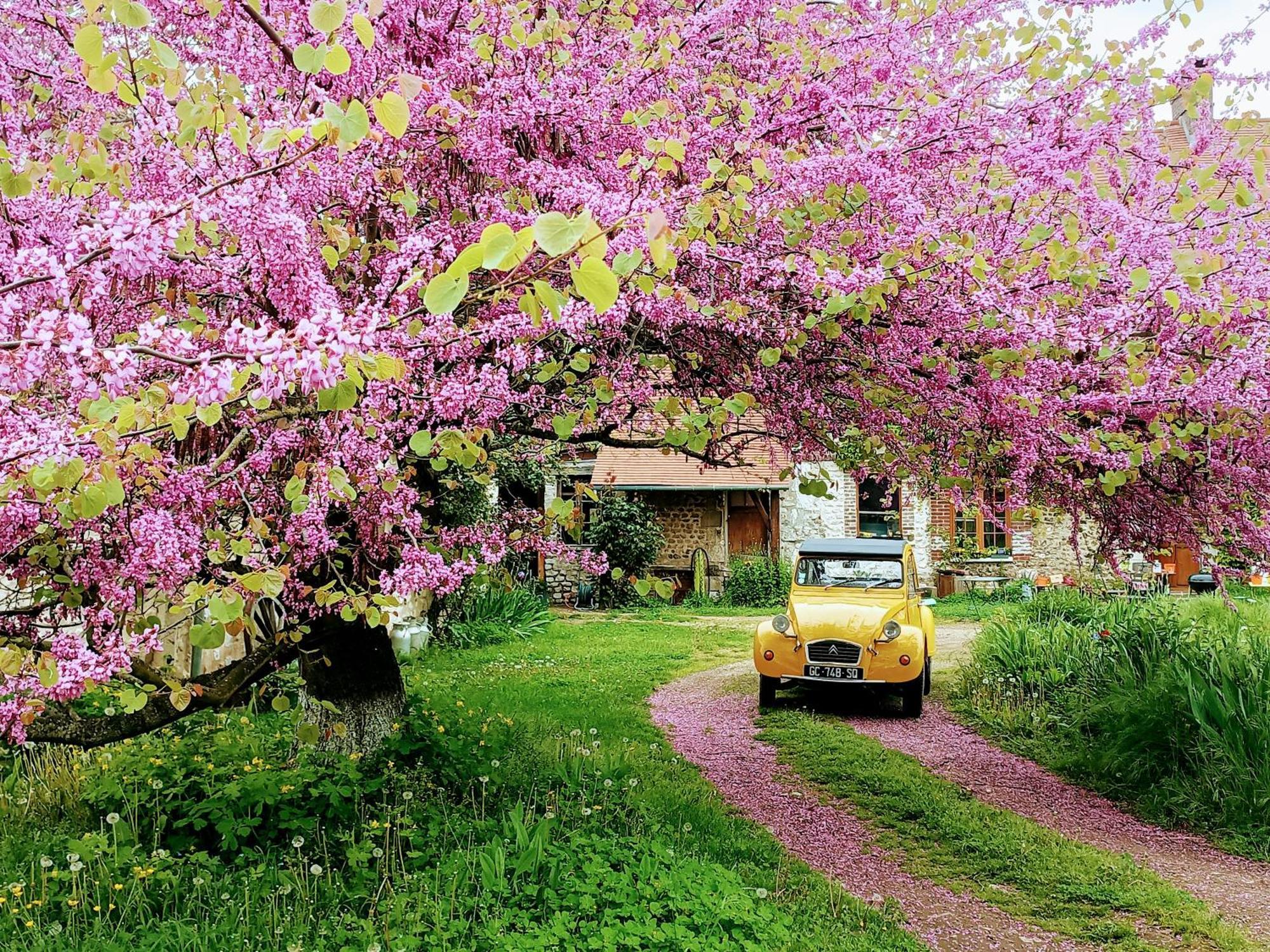 Les Jardins De Felicie Villa Poses Kültér fotó